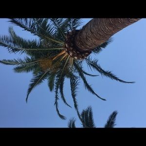 Meet your Posher, Aurora